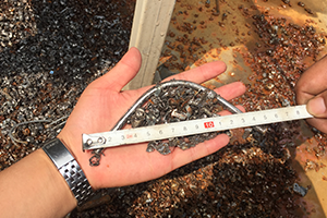 Scrap metal After shredding