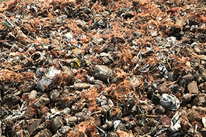 Waste Motor Before shredding