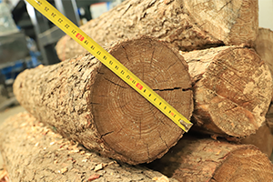 Wood Before shredding